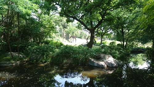 25日・天王寺動物園！